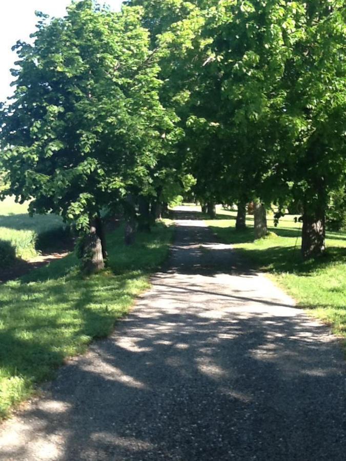 Suite Le Quervalat Dans Magnifique Bastide 18Eme Aix-en-Provence Zewnętrze zdjęcie