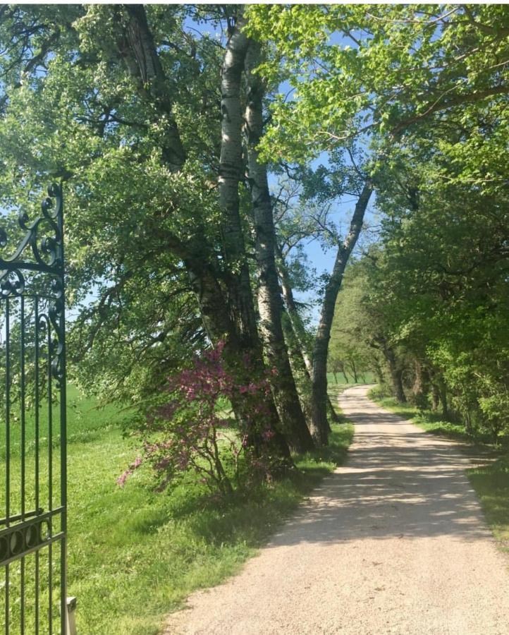 Suite Le Quervalat Dans Magnifique Bastide 18Eme Aix-en-Provence Zewnętrze zdjęcie